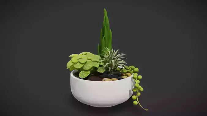 Indoor Plant 02