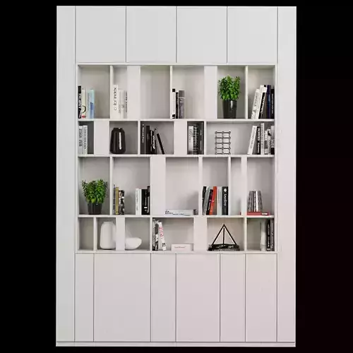 Rack and Bookcase 46
