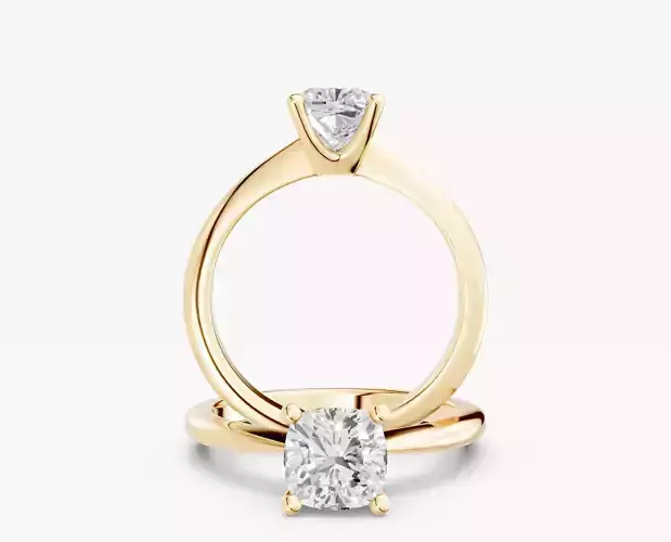 ZABS009A CUS engagement