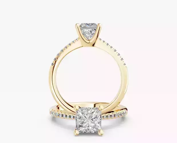 ZABS009B SQ engagement