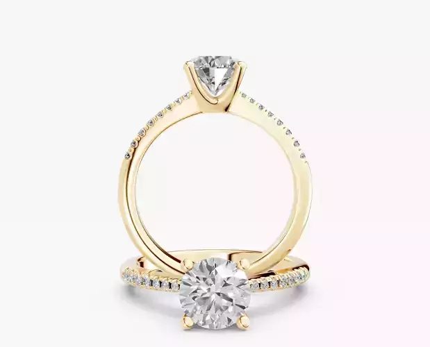 ZABS009B RD engagement