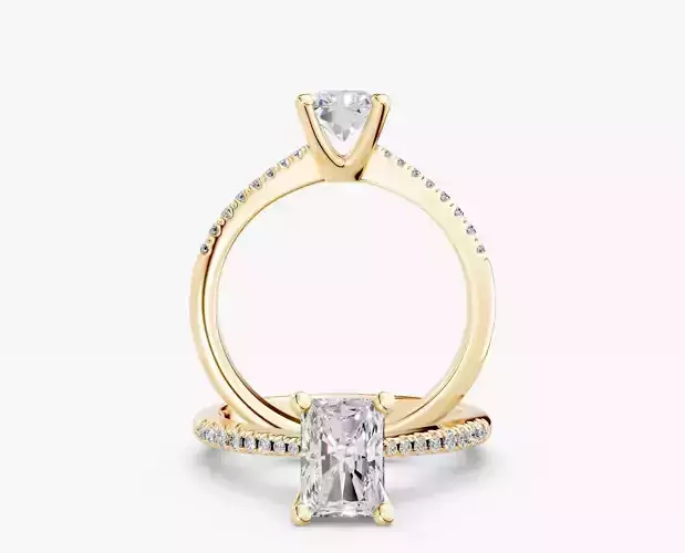 ZABS009B RA engagement