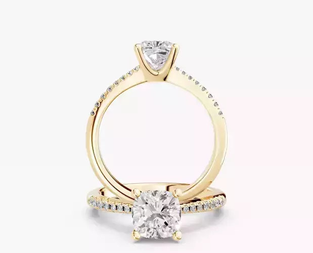 ZABS009B CUS engagement