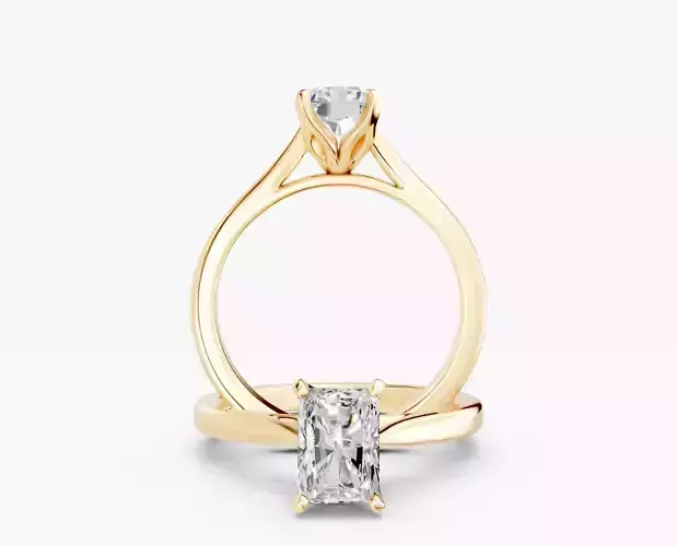 ZABS0012A RA engagement