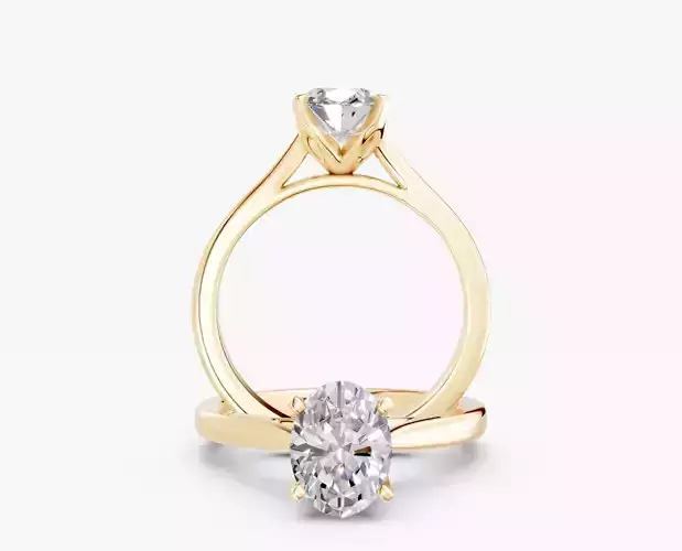 ZABS0012A OV engagement