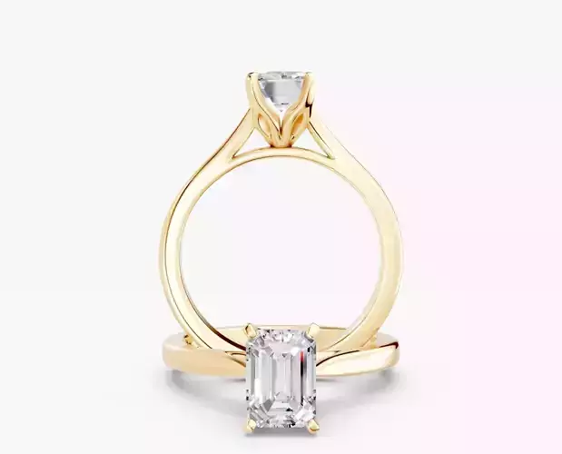 ZABS0012A EM engagement