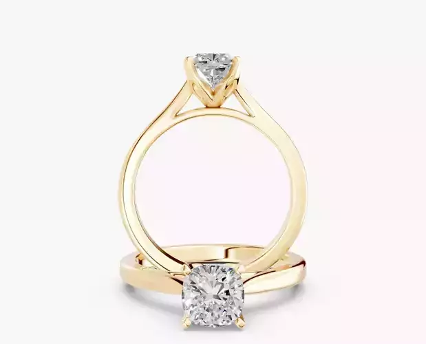 ZABS0012A CUS engagement