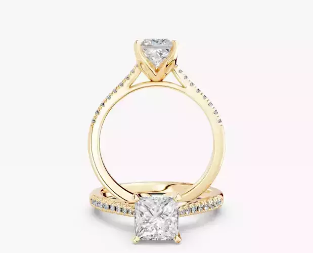 ZABS0012B SQ engagement