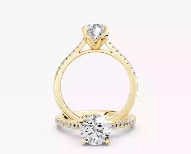 ZABS0012B RD engagement