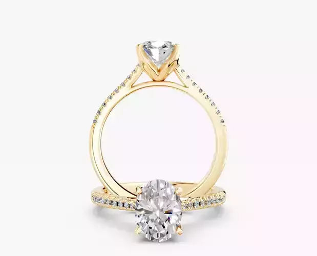 ZABS0012B OV engagement