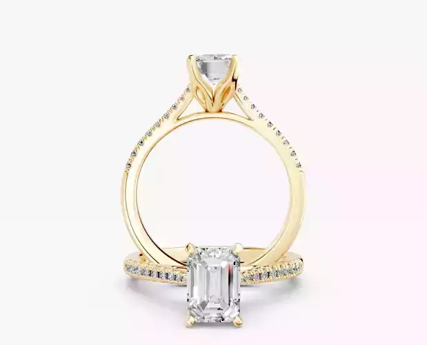 ZABS0012B EM engagement