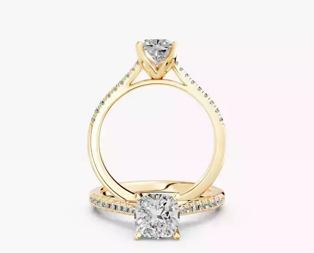 ZABS0012B CUS engagement