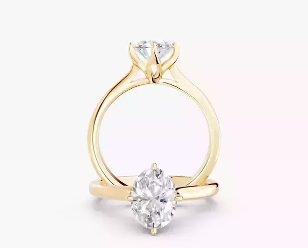 ZABS0013A OV  engagement