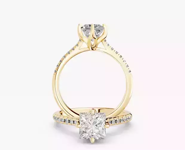 ZABS0013B SQ engagement