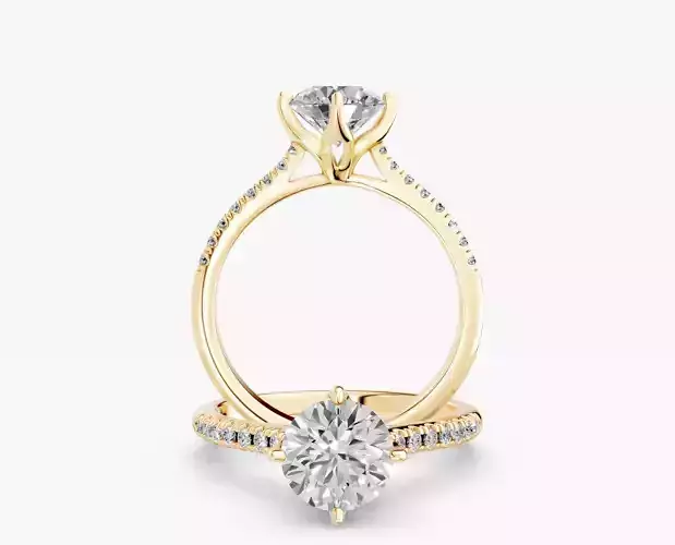 ZABS0013B RD engagement