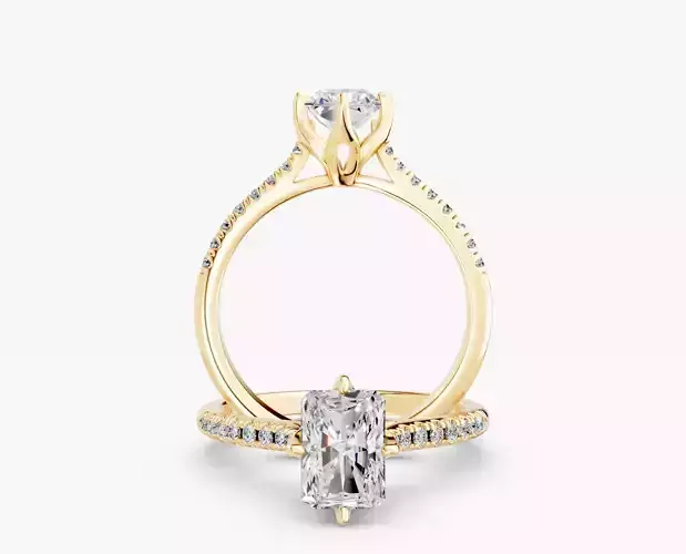 ZABS0013B RA engagement