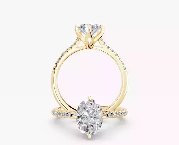 ZABS0013B OV engagement