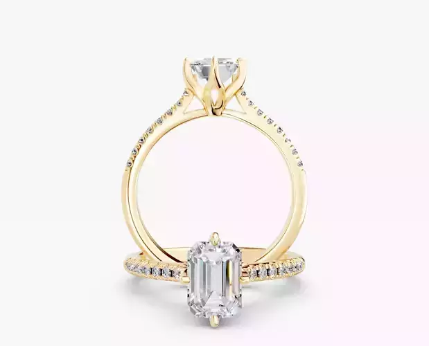 ZABS0013B EM engagement