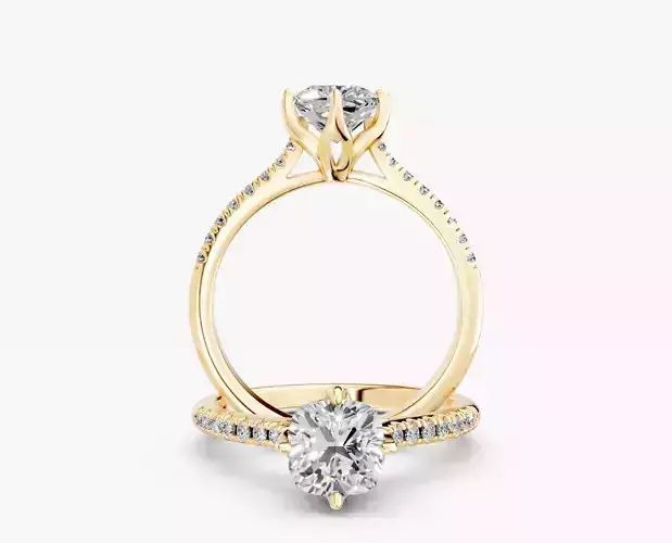 ZABS0013B CUS engagement