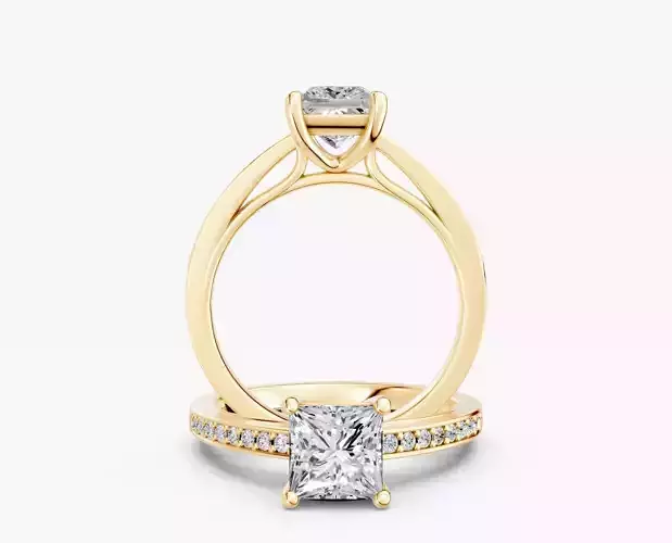 ZABS0016 SQ engagement