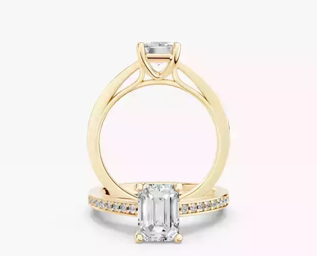 ZABS0016 EM engagement