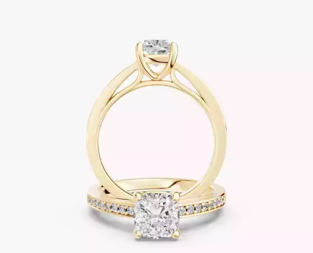 ZABS0016 CUS engagement