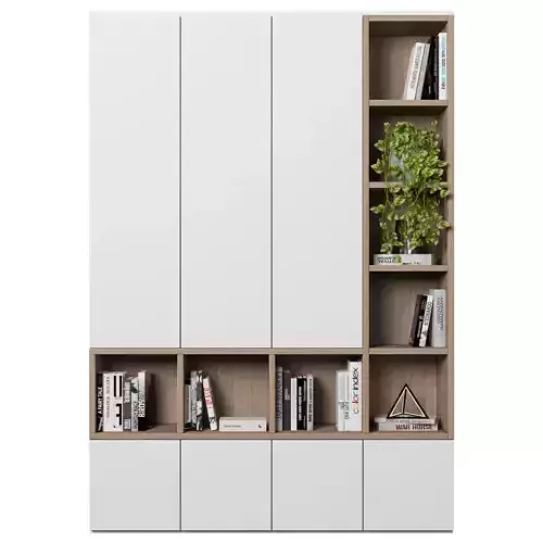 Cabinet with shelves 48