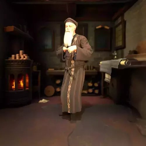 Wise Elder Brown Robe model pack