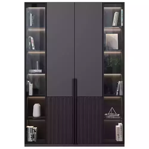 Cabinet with shelves 50