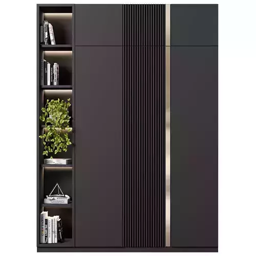 Cabinet with shelves 51