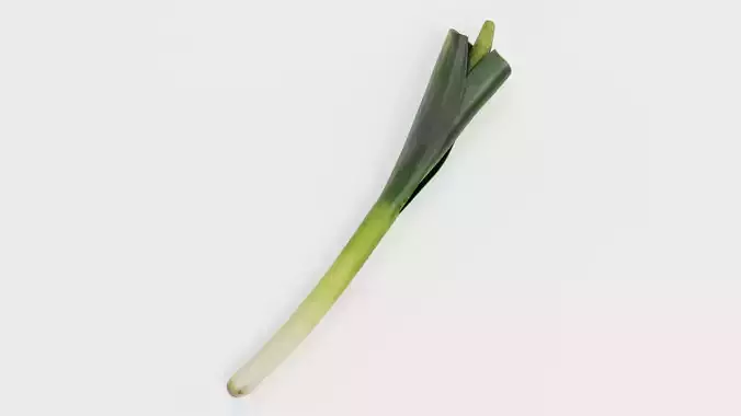 Leek - Realistic Vegetable