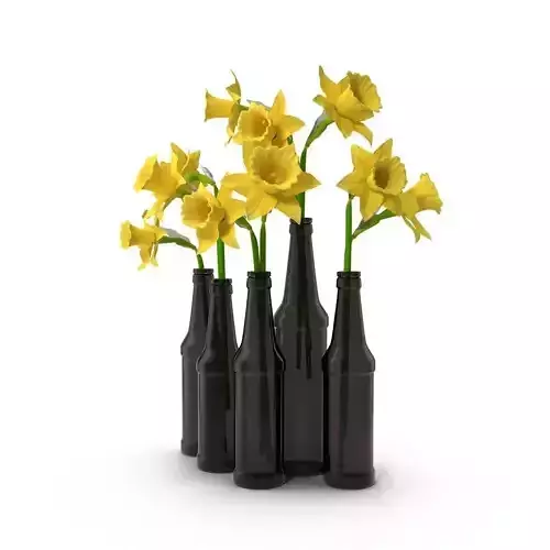 Narcissus daffodils in bottles