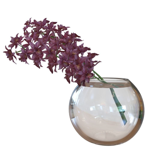Orchidaceae glass vase with flowers