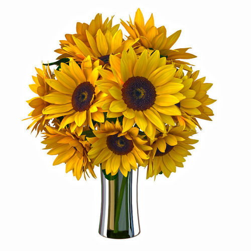 Sunflower bouquet 3D model