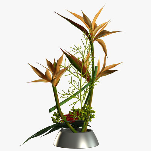 Gerbera plants in vase 3D model