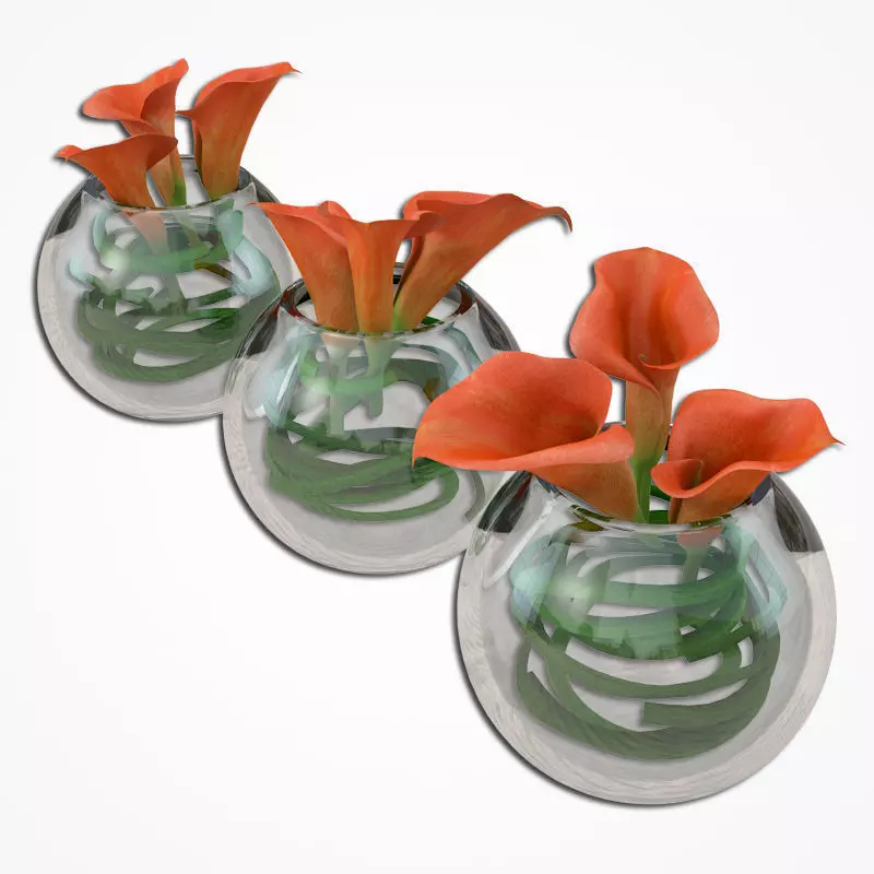 Callas small 3D model