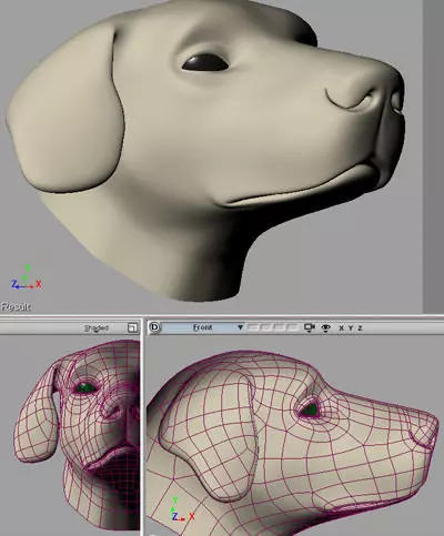 head of a dog Free 3D model