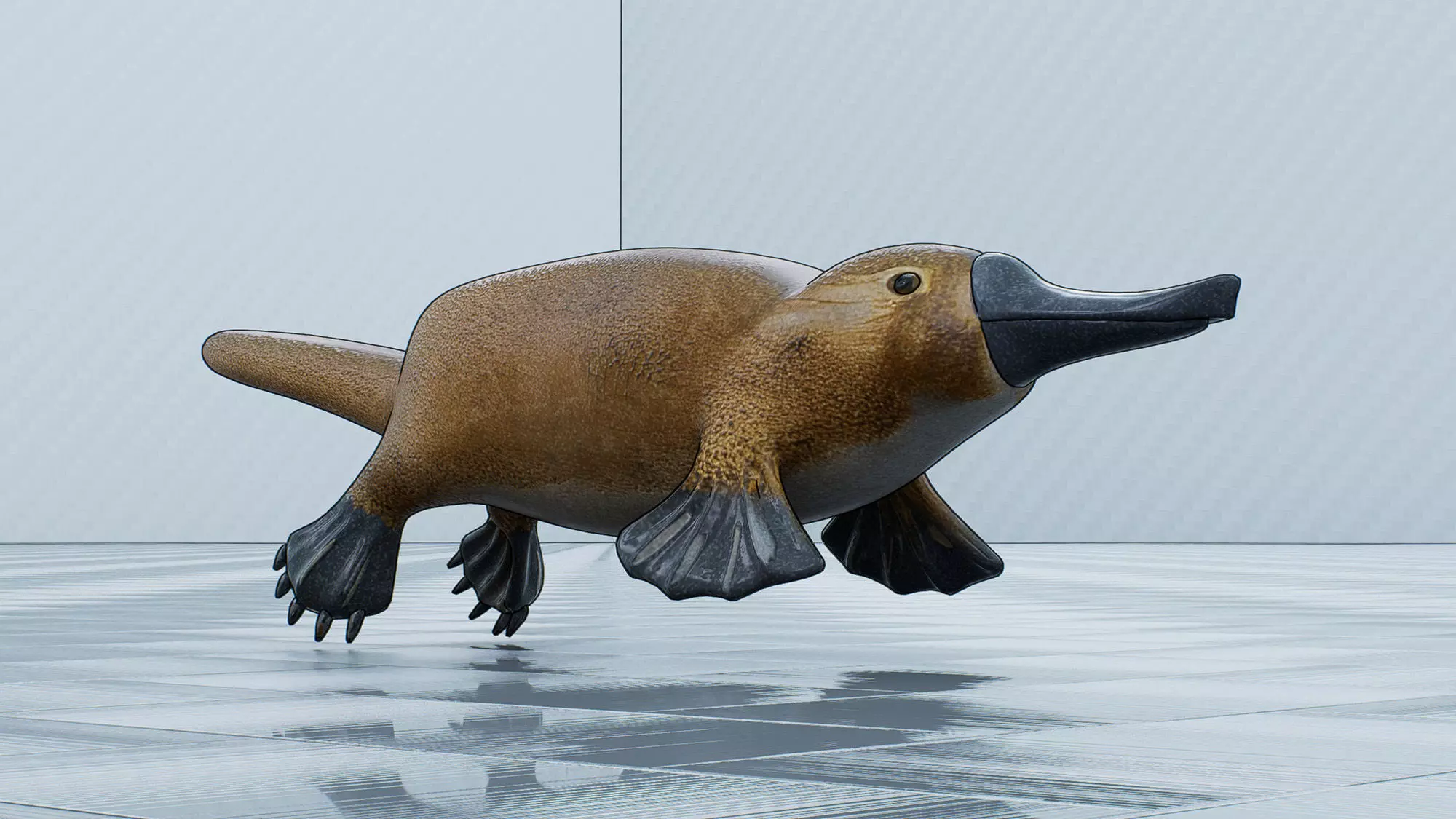 Platypus Low-poly 3D model