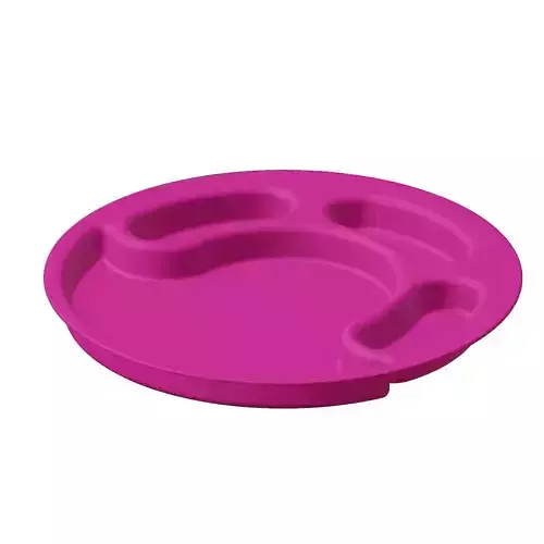 Plastic Exquisite Partition Plate