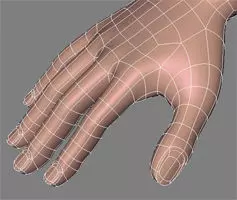human hand Free 3D model_0