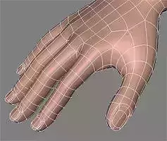 human hand