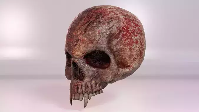 Vampire Skull