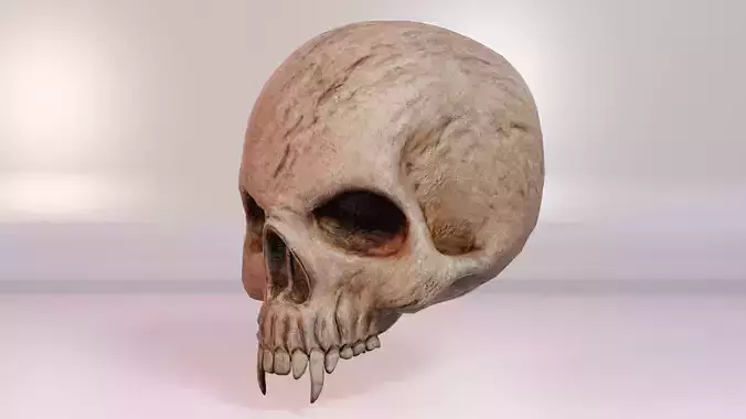 Vampire Skull