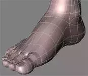 human feet