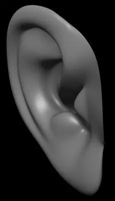 human ear Free 3D model