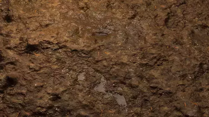 Thick Mud 8K PBR Texture