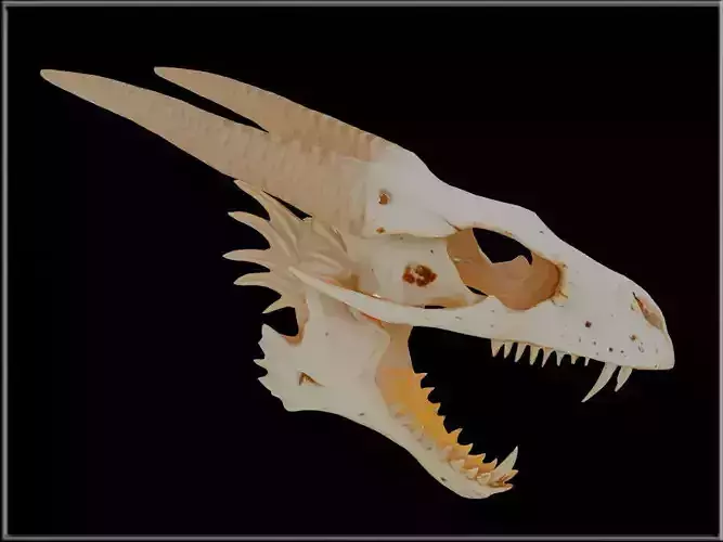 DRAGON SKULL