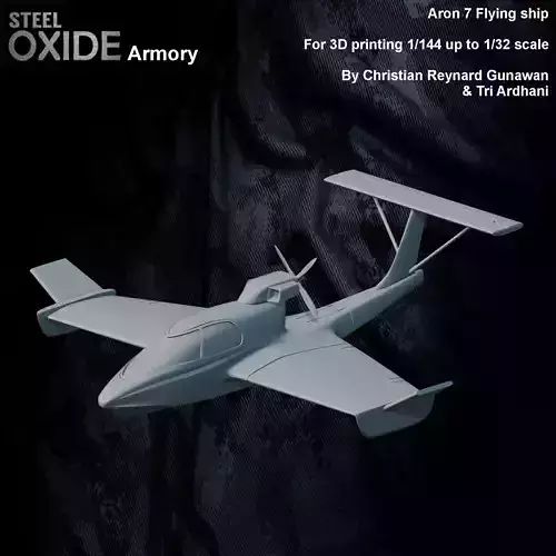 Seaplane Aron 7 Flying ship