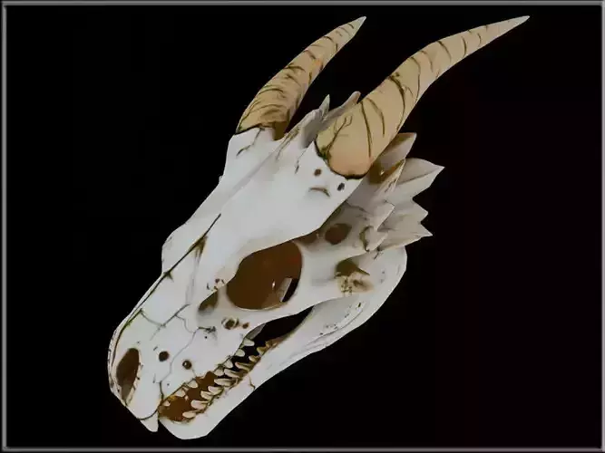 DRAGON SKULL 02