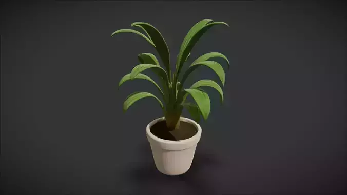 Indoor Plant 03
